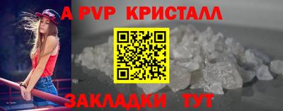 прущие грибы Гудермес