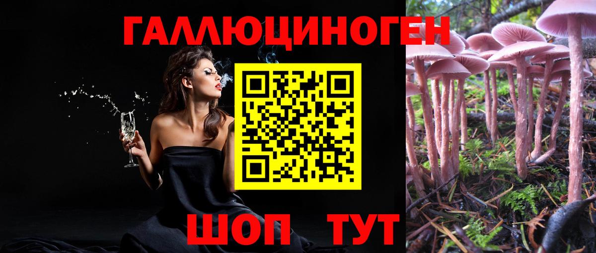 что такое наркотик  Галлюциногенные грибы Psilocybe  Вход с VPN  Семилуки 